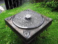SSW Ornamental