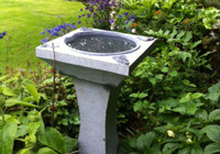 SSW Ornamental