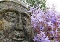 SSW Ornamental