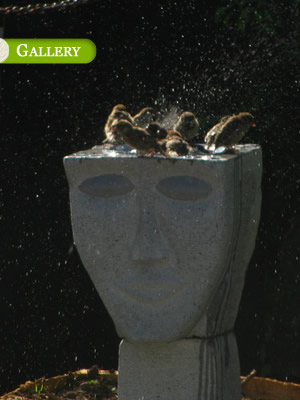 SSW Water Features